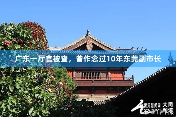 广东一厅官被查，曾作念过10年东莞副市长
