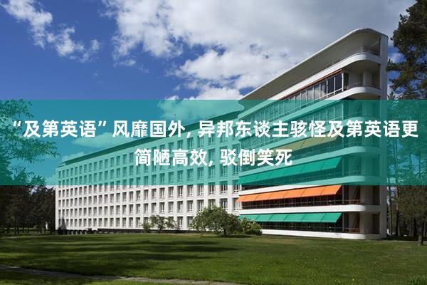 “及第英语”风靡国外, 异邦东谈主骇怪及第英语更简陋高效, 驳倒笑死