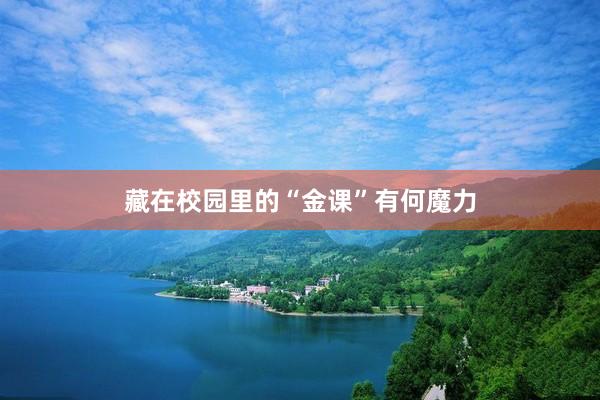 藏在校园里的“金课”有何魔力