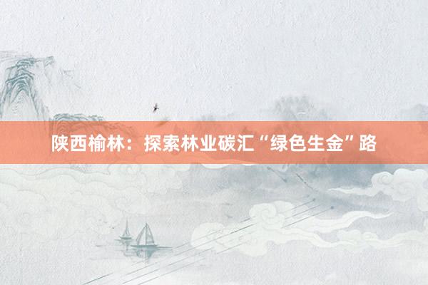 陕西榆林：探索林业碳汇“绿色生金”路