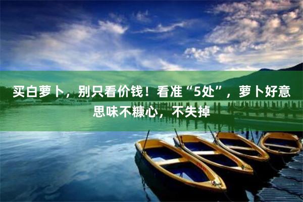 买白萝卜，别只看价钱！看准“5处”，萝卜好意思味不糠心，不失掉