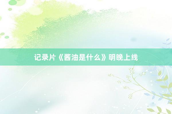 记录片《酱油是什么》明晚上线