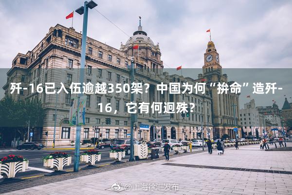 歼-16已入伍逾越350架？中国为何“拚命”造歼-16，它有何迥殊？