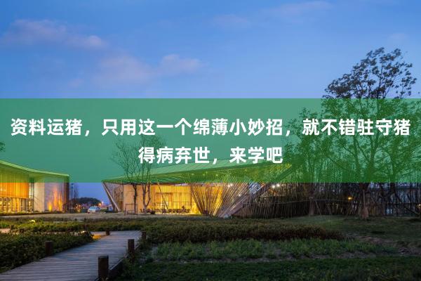 资料运猪，只用这一个绵薄小妙招，就不错驻守猪得病弃世，来学吧