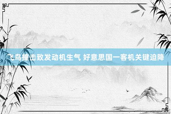 飞鸟撞击致发动机生气 好意思国一客机关键迫降